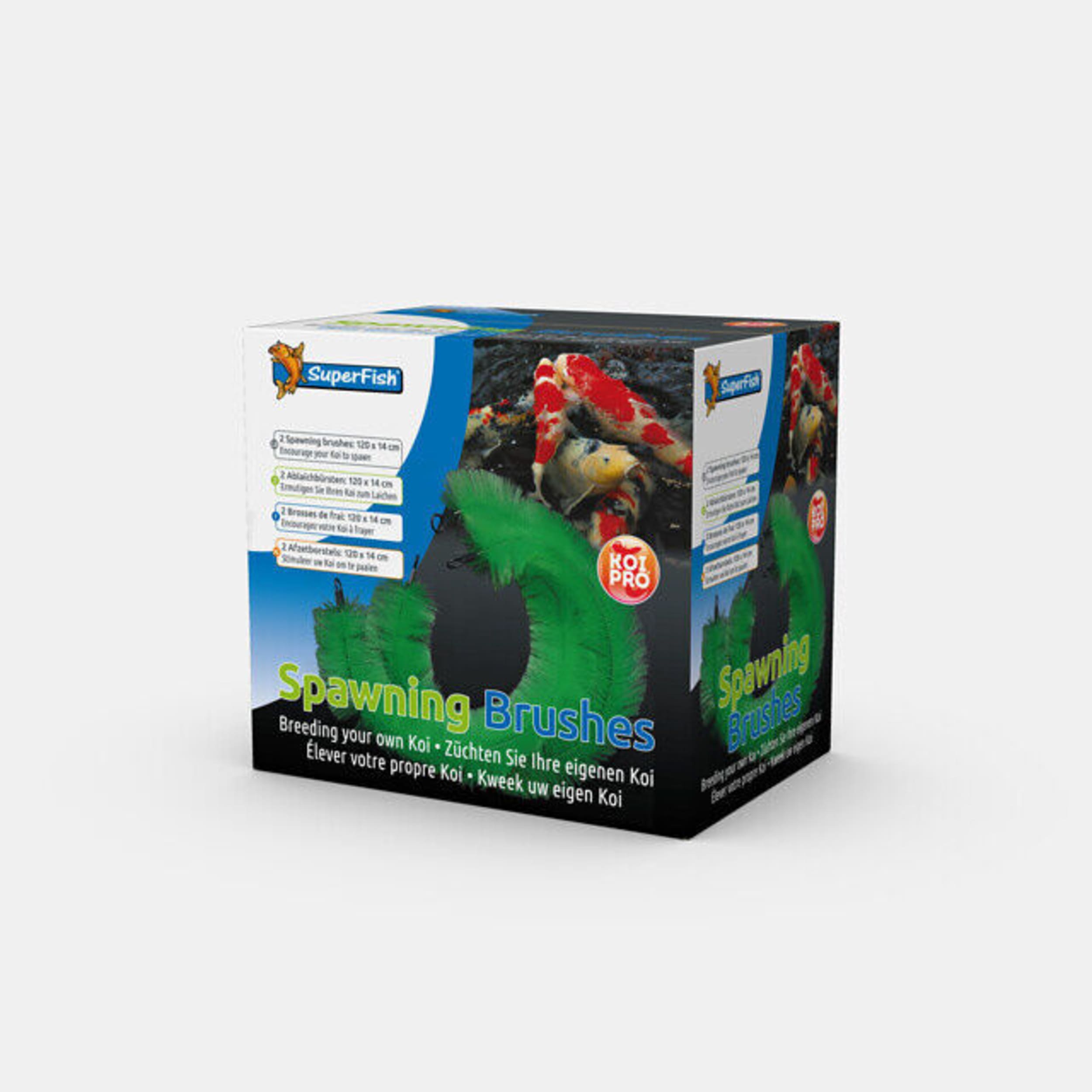 KP establece el cepillo en la caja 2 piezas