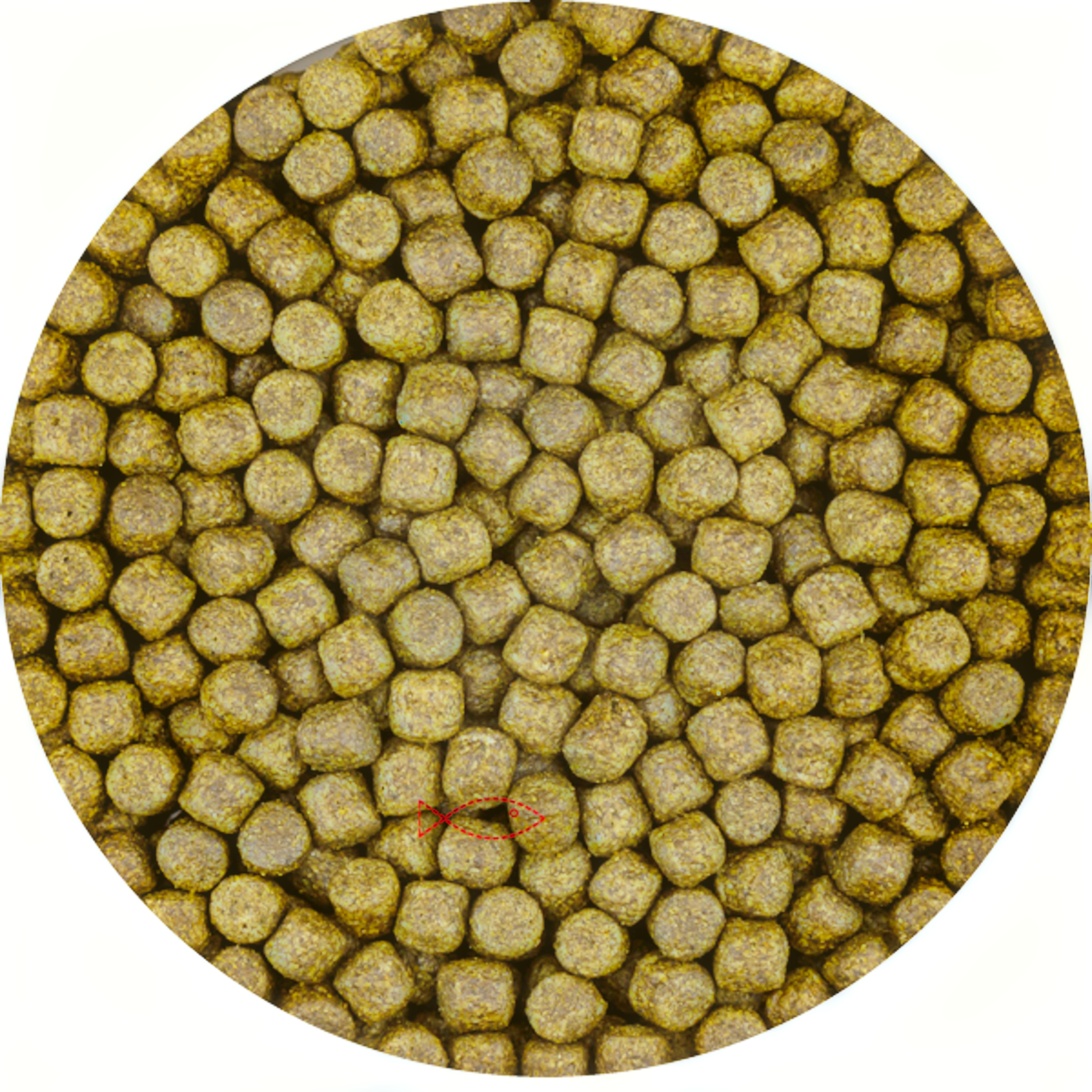 Color con espirulina 3 mm (cubo de 5 litros)