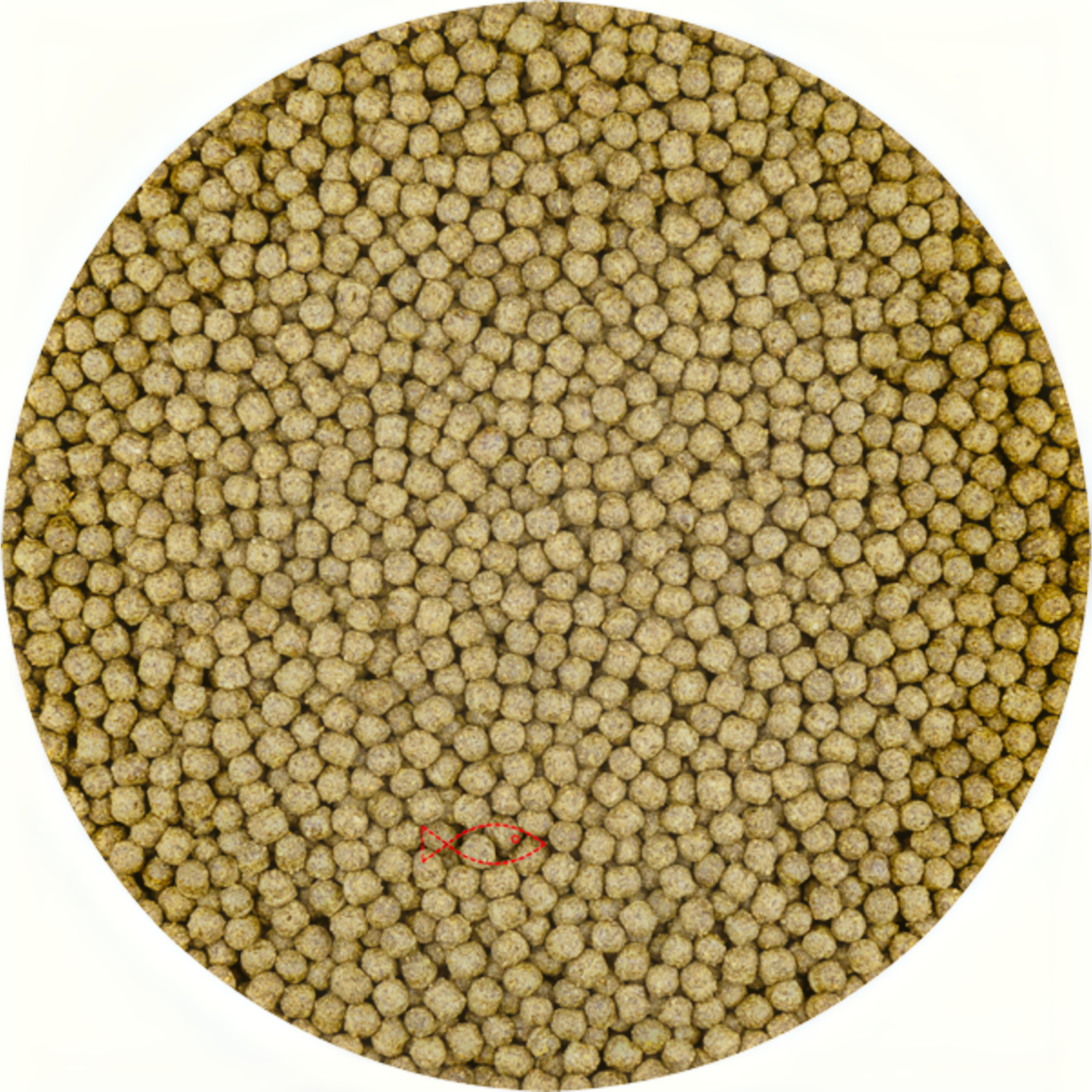 Home Decor, Food, Mustard