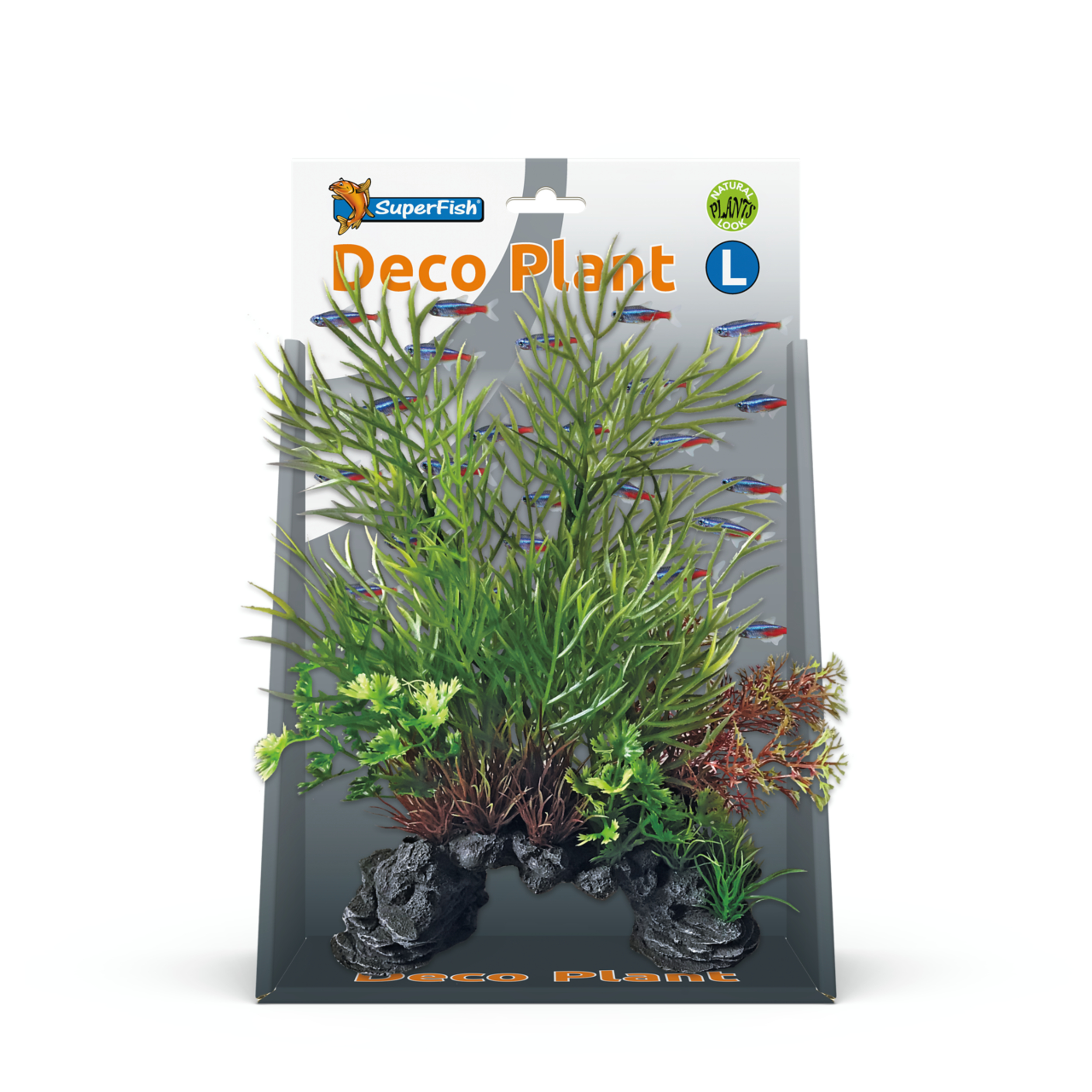 Plant, Potted Plant, Aquarium, Aquatic, Herbal
